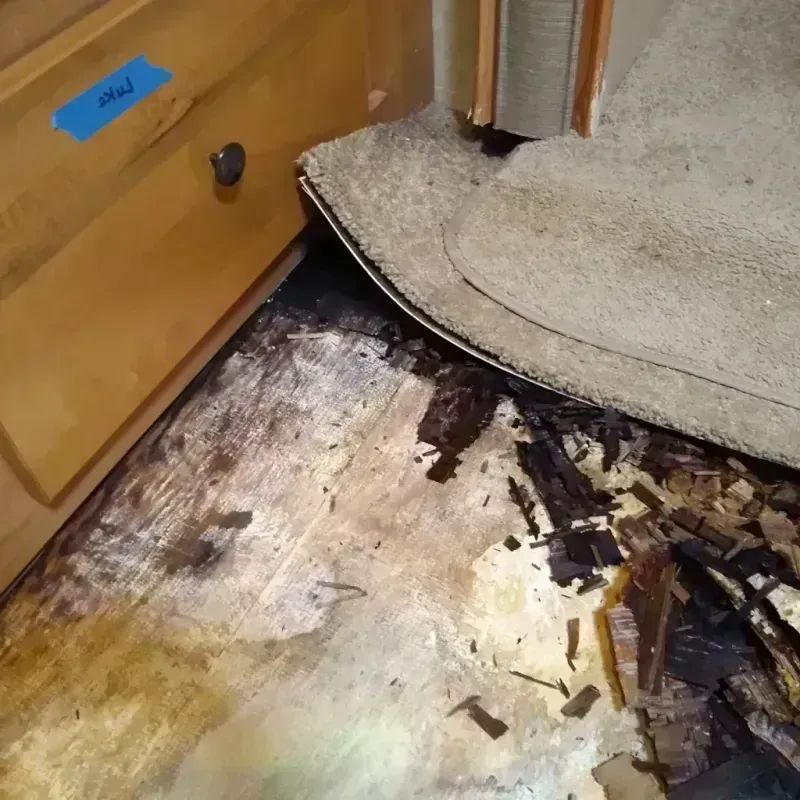 Best Wood Floor Water Damage Service in Florence County, WI